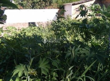 697499_izNW6UIx63N74_69749967e07584d6525.jpg · Terreno 352m² á venda no bairro Santa Teresa