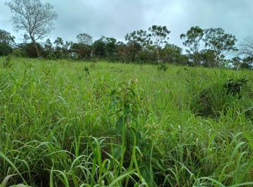 Rural de 1 quarto, Colinas do Sul · Fazenda para pecuária em Colinas do Sul - Goiás
