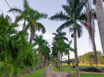 Rural · 158000m² · 3 Quartos · 1 Vaga · Sítio em Guaramirim-SC