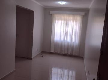 Foto 05 · Apartamento, Jardim Olinda, São Paulo, SP