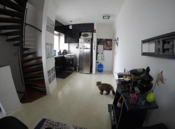 Foto 11 · Apartamento, Vila Andrade, São Paulo, SP