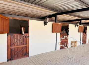Foto 01 · HARAS COMPLETO COM 19 BAIAS EM SÃO JOSÉ DOS CAMPOS - SP !
