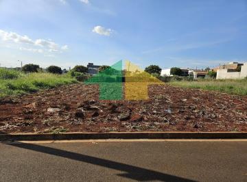 Foto 04 · TERRENO À VENDA NO JARDIM PAINEIRAS, IRACEMÁPOLIS /SP