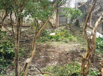 foto1 · Terreno de 250m² a venda - Vila Cachoeira