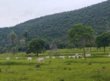 Rural de 4 quartos, Formosa · Fazenda em formosa 93 hectares.