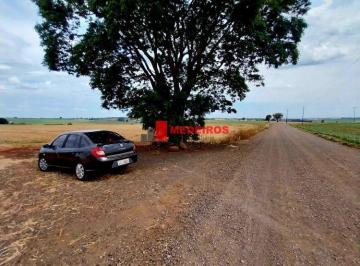 Rural · VENDA | Sítio,  em Centro, Marialva