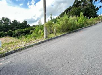 35983159_g.jpg ·
Terreno | São Giacomo