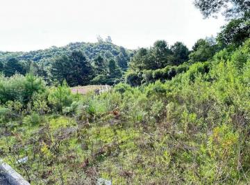 Terreno · 360m² · Terreno | São Giacomo
