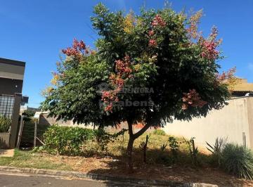 Terreno · 335m² · Terreno em Guapiaçu.