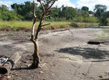0 · terreno à venda em Barão Geraldo