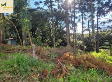 Terreno · 919m² · Terreno grande em região de valorização!!