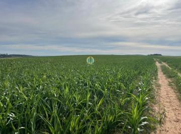 Rural · 29200m² · 1 Quarto · Fazenda à venda em Goiânia/GO