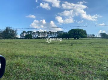 Foto 89 · Oportunidade de preço: Fazenda em Itu 20 Alqueires com Valor Reduzido