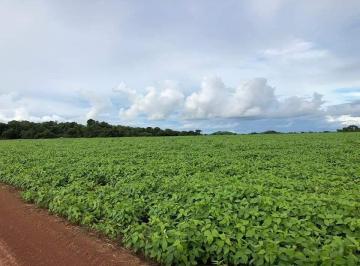 Rural , Santa Terezinha · FAZENDA COM 39.241 HÁ. EM SANTA TEREZINHA-MT