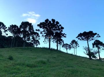 Foto 01 · Chácara, Centro, Campo Alegre, SC