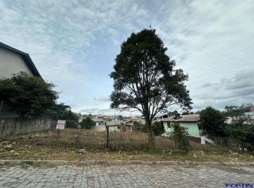 35998615_g.jpg · 
                                Terreno à venda em São Ciro, Caxias do Sul
                        