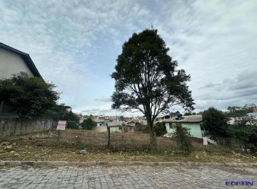 Terreno · 704m² · Terreno à venda em São Ciro, Caxias do Sul