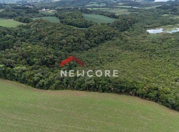 Rural · 242000m² · 1 Quarto · Sítio em  Rua dos Imigrantes - Colônia Balbino Cunha - Campo Largo/PR