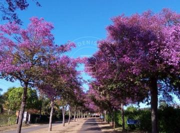 Terreno · 5000m² · Viva a tranquilidade e o contato com a natureza no Condomínio Alto da Boa Vista!