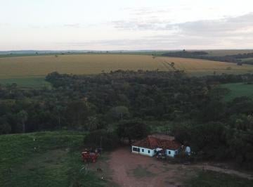 Foto 01 · Fazenda 161 Alqueires, 12 Kms de Estrada de Chão, 105 Alqueires Plantado e Falta 35 Alqueires pra Pl