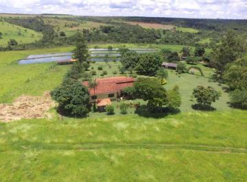 Foto 01 · Fazenda 18 Alqueires Terra pra Lavoura, Asfalto na Porta, 35 Hectares de Soja, 17 Hectares Reserva,