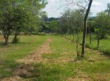 Foto 01 · Terreno, Vila Mota, Catanduva, SP