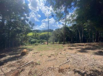 Terreno , Bueno Brandão · TERRENO COM MUITAS ARAUCARIAS 
