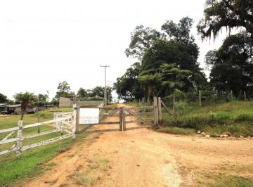 Chácara em São José dos Pinhais - Contenda (CH02381) · Chácara à venda  Bairro Contenda em São José dos Pinhais