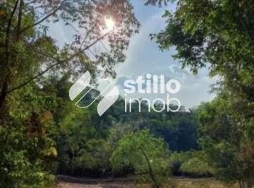 Foto 01 · SÍTIO COM 46.000M² PRÓXIMO AO HOPE BAY PARK