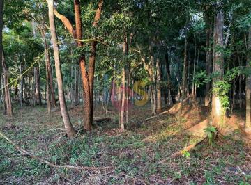 Terreno · 3800m² · Vendo Área de 3800 m² em Trancoso