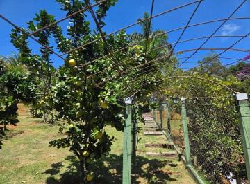 1817ab7559dfd317e858cbe94a66bc040e8002e0 · Terreno à venda, 1000 m² por R$ 750.000,00 - Rio Comprido - Jacareí/SP
