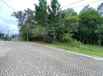 372426.jpg · Terreno - Bairro Carniel