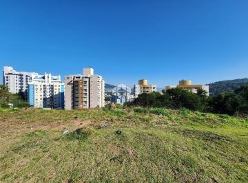 604319_iH52946XN_60431966747ba73ed99.jpg · Lotes/terrenos residenciais a venda no bairro Itacorubi