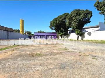 e5a3ba47-7ce3-4383-a85a-77d19fe7c8b4.webp · Trecho 4, terreno de 3.774m²; com 170² de escritório