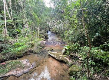 687469_i318fMQfN3jt6O2g3_68746967ddcfa664e0d.jpg · Sítio à Venda em Tigela, Paulo Lopes - SC com 36.498,52 m² e cachoeira privativa