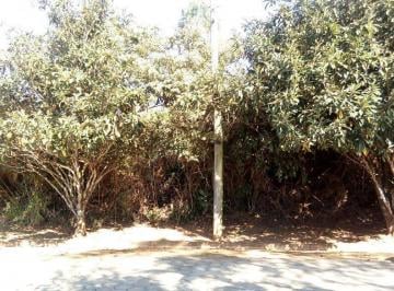 Terreno · 800m² · Terreno em Jardim San Ressore (Caucaia do Alto), Cotia/SP de 0m² à venda por R$ 320.000,00