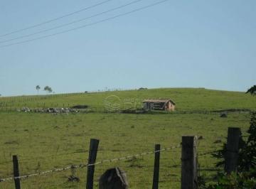 Rural · 871200m² · Sítio em , Elias Fausto/SP de 0m² à venda por R$ 18.000.000,00