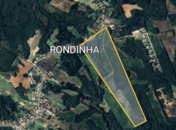 Terreno · 181953m² · Área em Rondinha, Campo Largo/PR de 0m² à venda por R$ 12.600.000,00