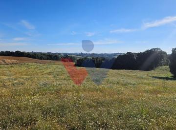 Rural · 48400m² · 1 Quarto · Chácara em Centro, Campo Magro/PR de 48400m² 1 quartos à venda por R$ 3.150.000,00