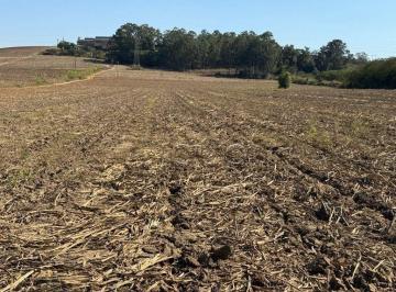 Terreno · 99776m² · Área em Santa Terezinha, Piracicaba/SP de 0m² à venda por R$ 9.911.660,00