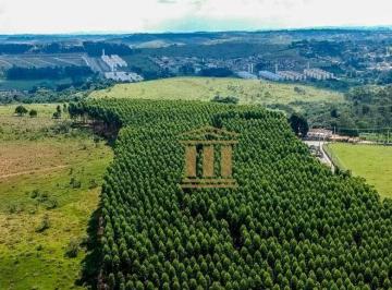 Terreno · 78000m² · Área em Jardim Santa Hermínia, São José dos Campos/SP de 0m² à venda por R$ 7.000.000,00
