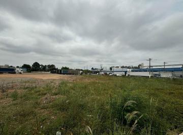 Terreno · 20000m² · Terreno em Vila Sol Nascente, Suzano/SP de 0m² à venda por R$ 20.000.000,00 ou para locação R$ 100.0