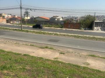 Foto 07 · Terreno, Jardim Uruguai, Campinas, SP