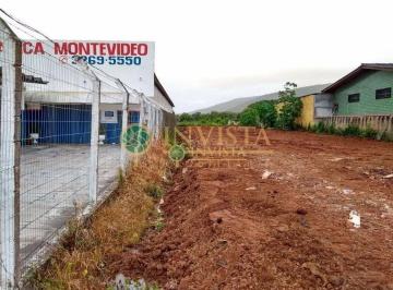 Terreno · 982m² · Terreno em Ingleses do Rio Vermelho, Florianópolis/SC de 0m² à venda por R$ 1.900.000,00