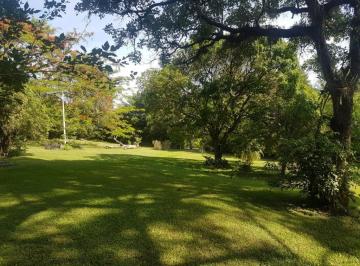 Rural · 300m² · 3 Quartos · Chácara em Centro, Jaguariúna/SP de 300m² 3 quartos à venda por R$ 1.700.000,00