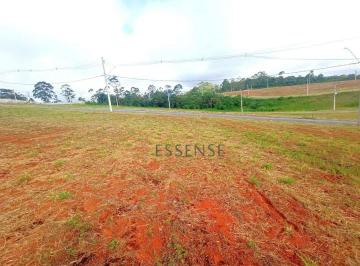fe5c910595578b121d937494da6dfdde07182438 · Terreno de Alto Padrão à Venda de 191m² no Condomínio Paradise Gardens - Vila Oliveira em Mogi das C