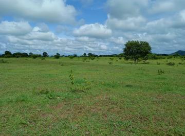 Rural de 2 quartos, Formosa · FAZENDA GO DUPLA APTIDÃO