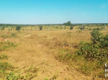 Rural , Sinop · Pecuária com 2.200 hectares | MT