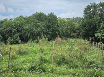 202503311118281894.jpg · Terreno para Venda em Ibirá, Termas de Ibirá