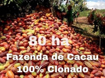 20210410201926569.jpeg · Fazenda para Venda em Camamu, 20 minutos de carro da cidade, 4 dormitórios